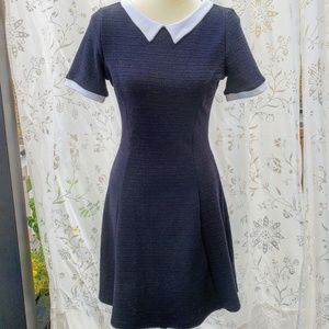 H&M Divided Skater Dress with Peter Pan Collar